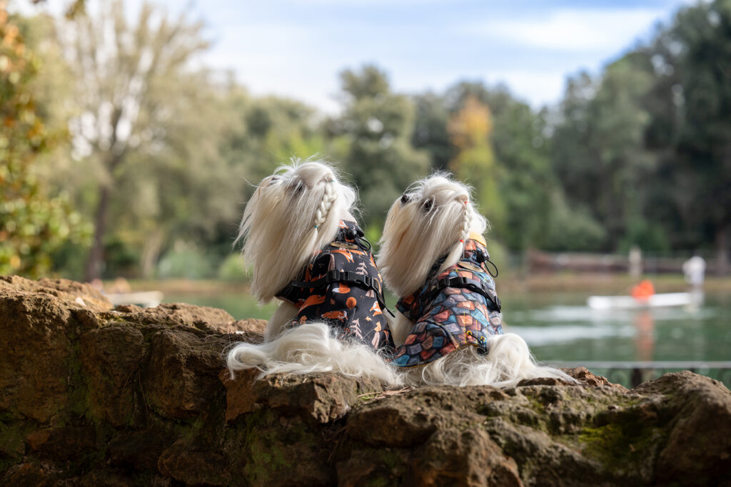 Nella prima puntata del podcast "L'Armadio di Fido" scopriremo perché vestire un cane può influenzare il suo benessere fisico e psicologico.