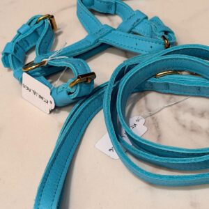 Kit Pettorina e Guinzaglio in pelle azzura