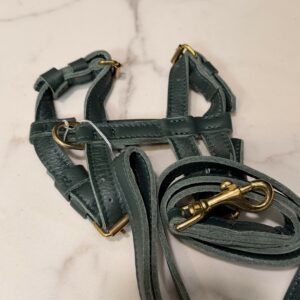 Kit Pettorina e Guinzaglio in pelle verde