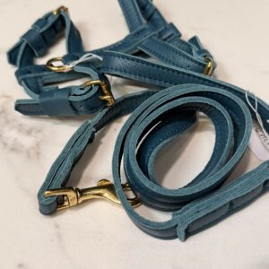 Kit Pettorina e Guinzaglio in pelle petrolio