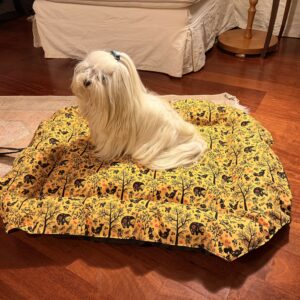 Cuccia grande pieghevole per cani