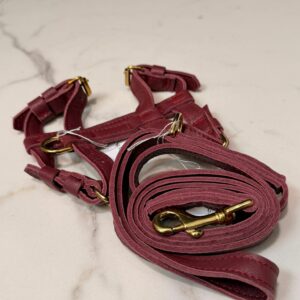 Kit Pettorina e Guinzaglio in pelle bordeaux
