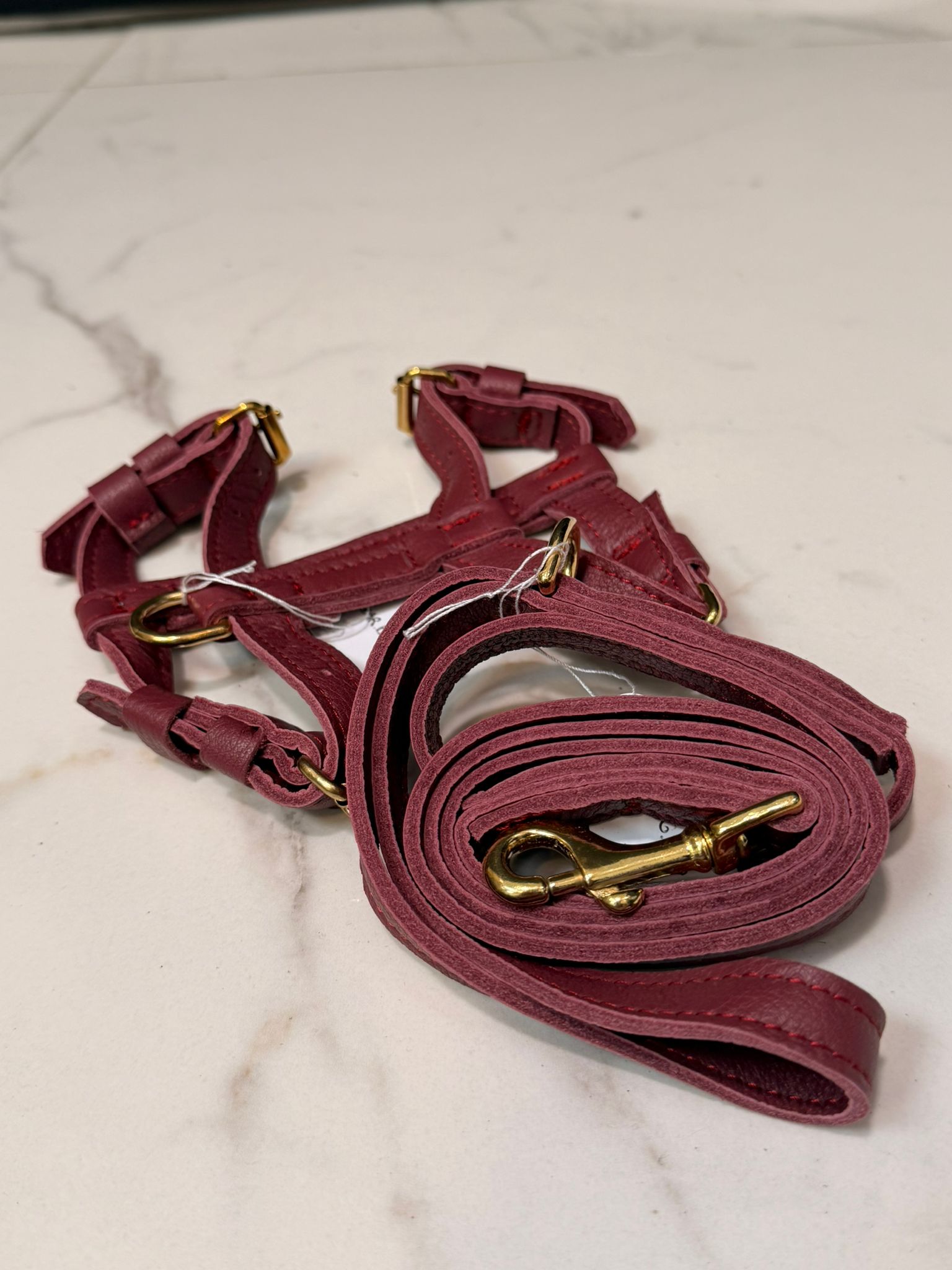 Kit Pettorina e Guinzaglio in pelle bordeaux