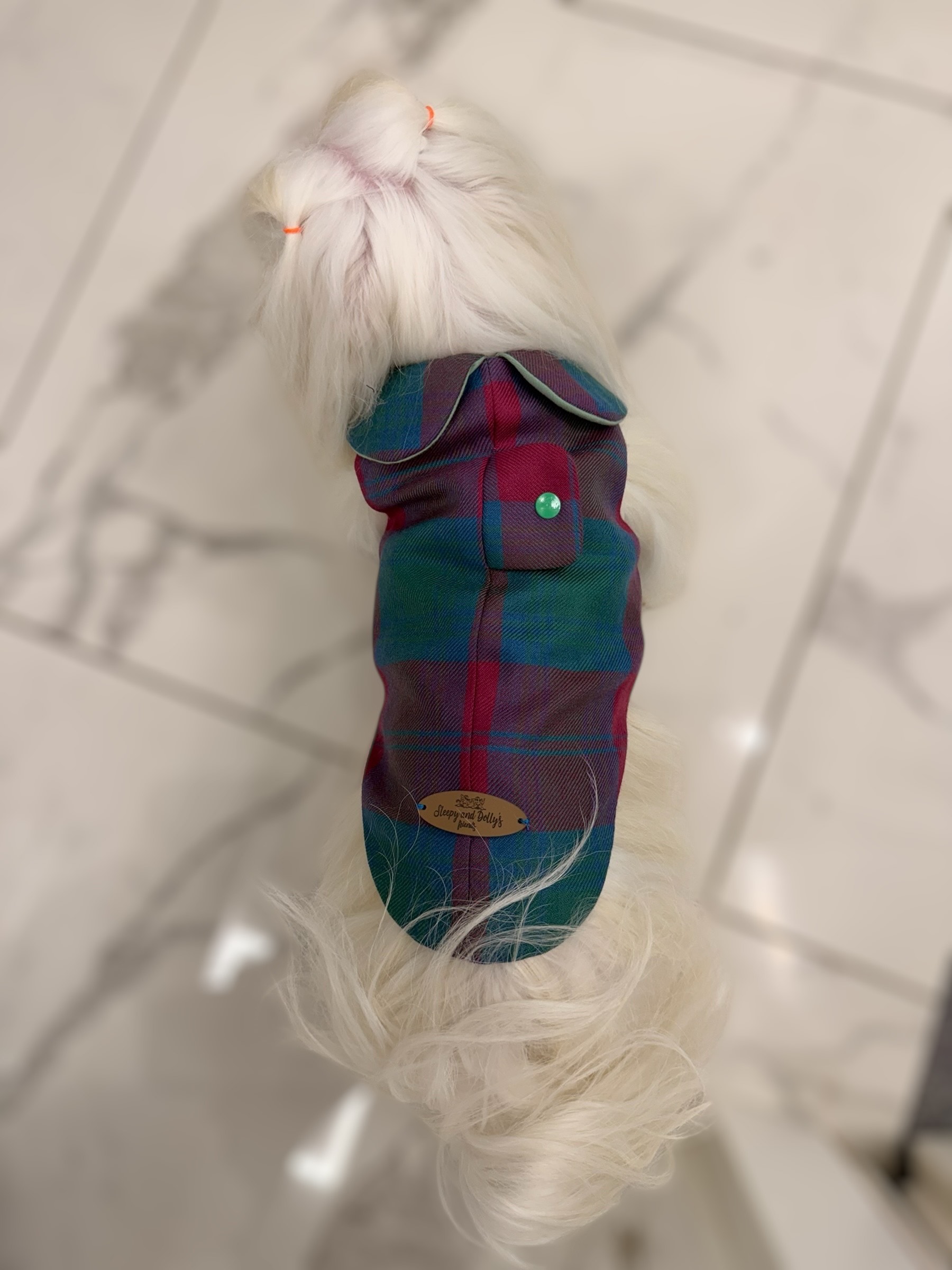 Cappottino Inglese per cani Tartan Blu - immagine 4