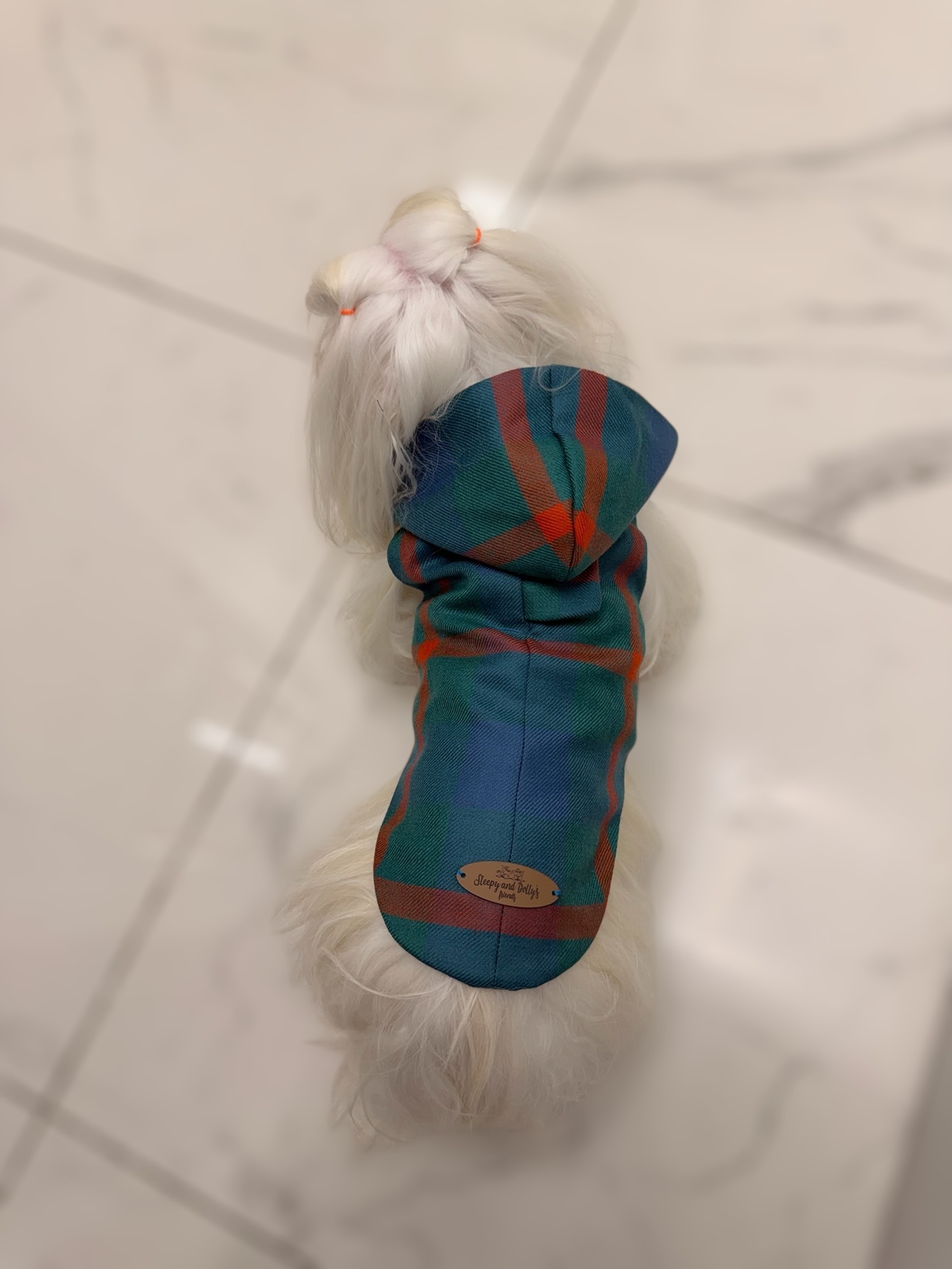 Cappottino Inglese per cani Tartan Blu - immagine 3