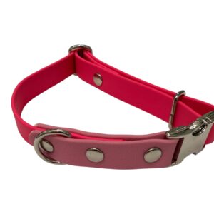 Kit collare e guinzaglio Rosso - Biothane®