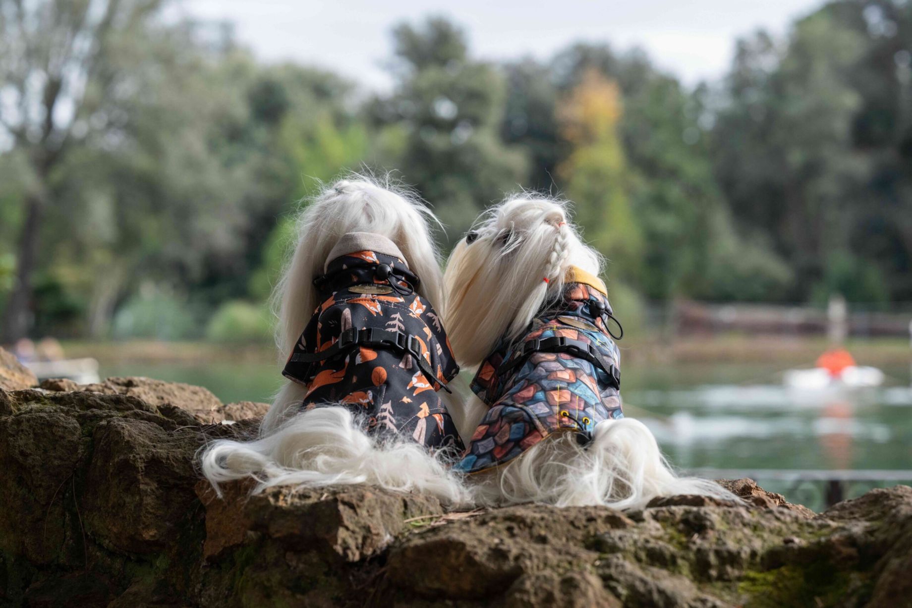 Sleepy and Dolly's Friends